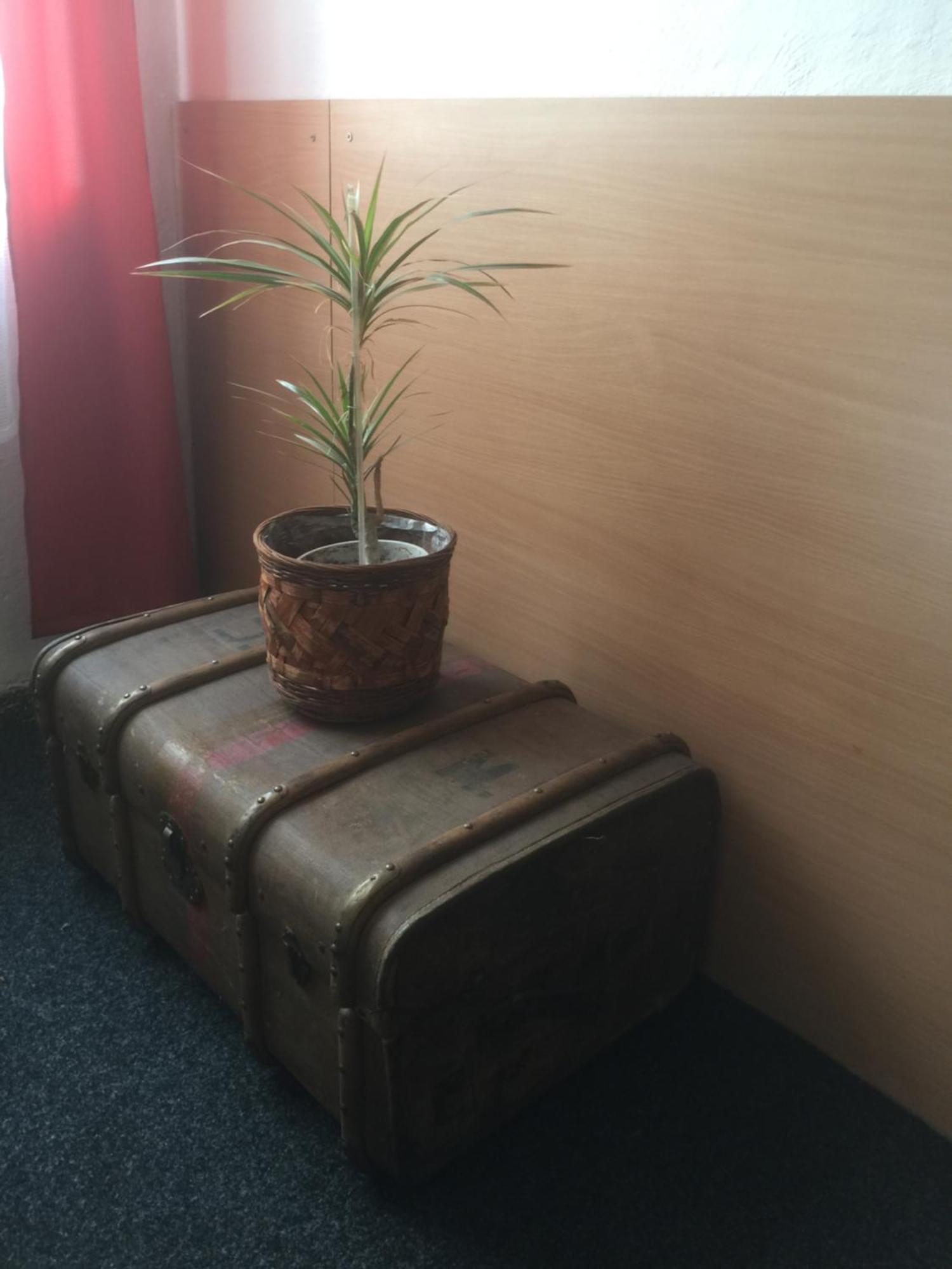 Chrast Hotel Dvorak מראה חיצוני תמונה
